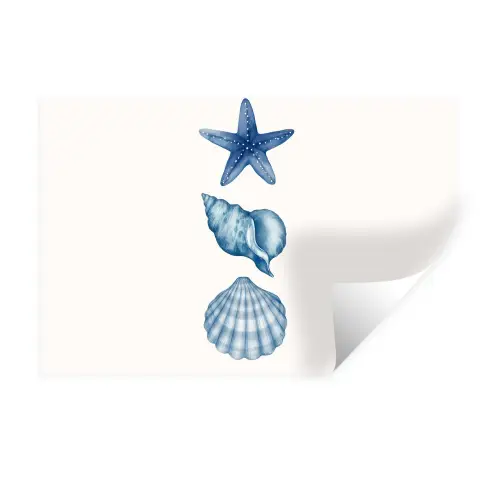 Zeester - Schelpen - Blauw Muursticker klein -3d