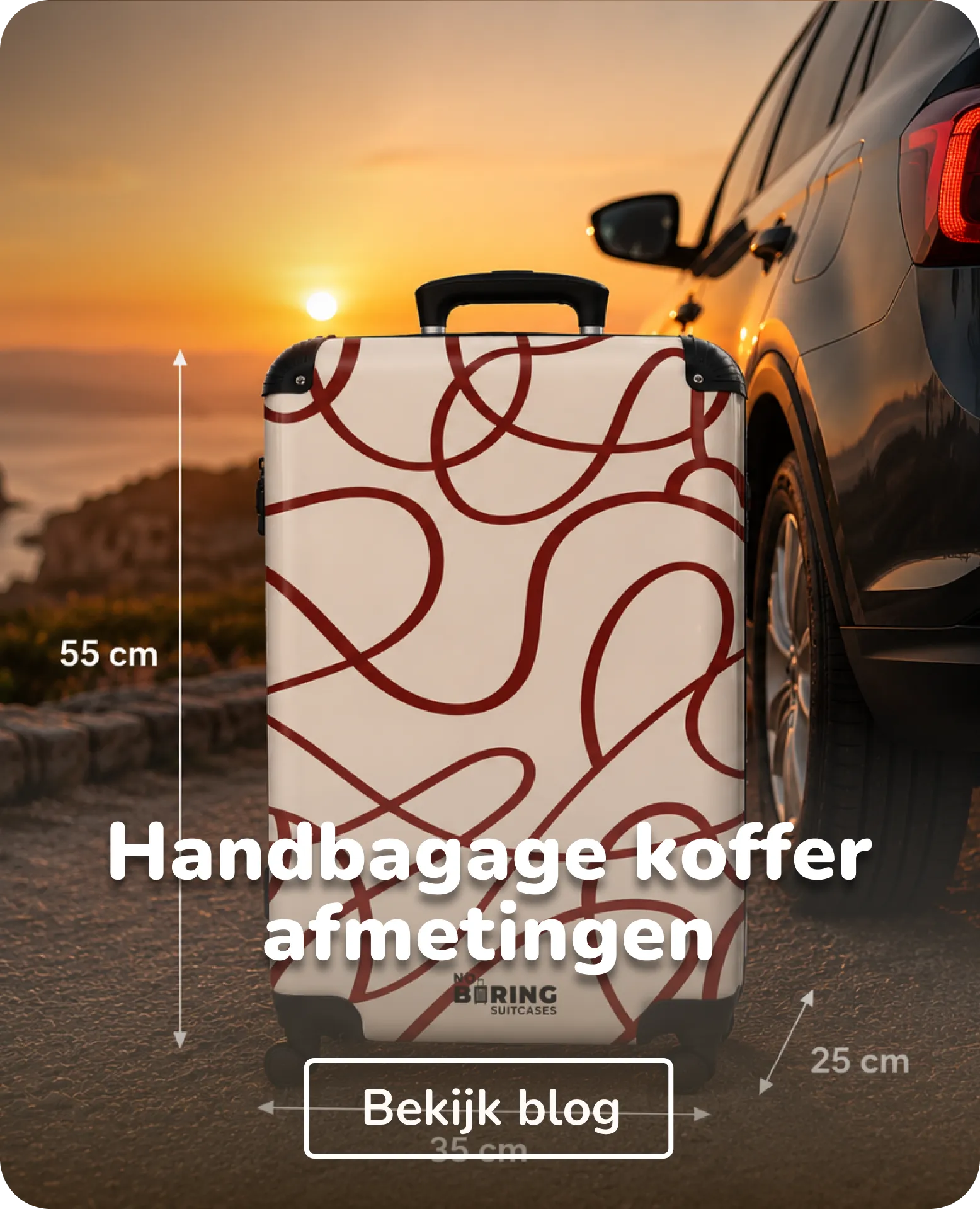 handbagagekoffer afmetingen