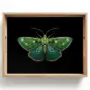 Mot - Levendig - Groen Dienblad Rechthoek middel -z3d_shopping