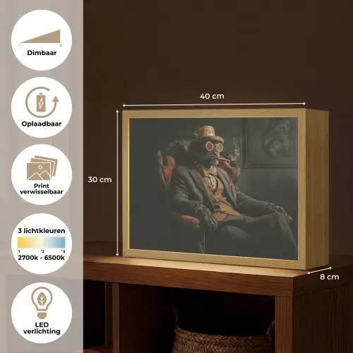 Kat - Pak - Oranje - Sigaar Light Box met batterij (Wandlamp) middel -USP_websiteoverzichtNL