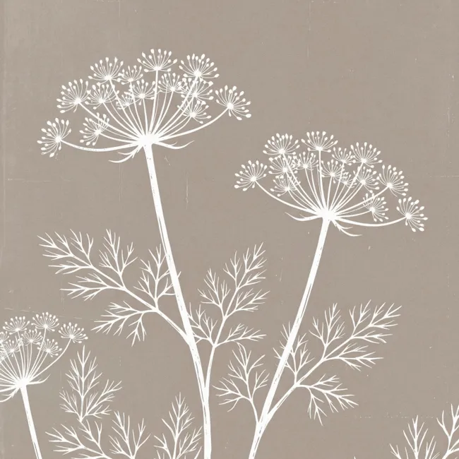 Behang - Grafisch - Fluitenkruid - Taupe