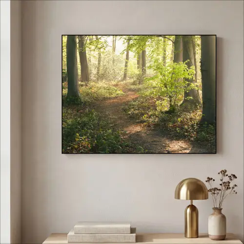 Bos - Bomen - Pad - Zon - Planten - Bladeren - Natuur Textielframe zwart klein -sfeer2