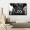 Schotse hooglander - Zwart - Wit - Sneeuwvlokken canvas 2cm klein -sfeer6