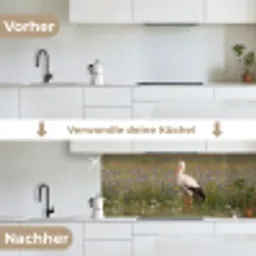 Ooienvaar - Bloemen - Weide - Kleurrijk keuken achterwand 2 middel -voor-na_DE