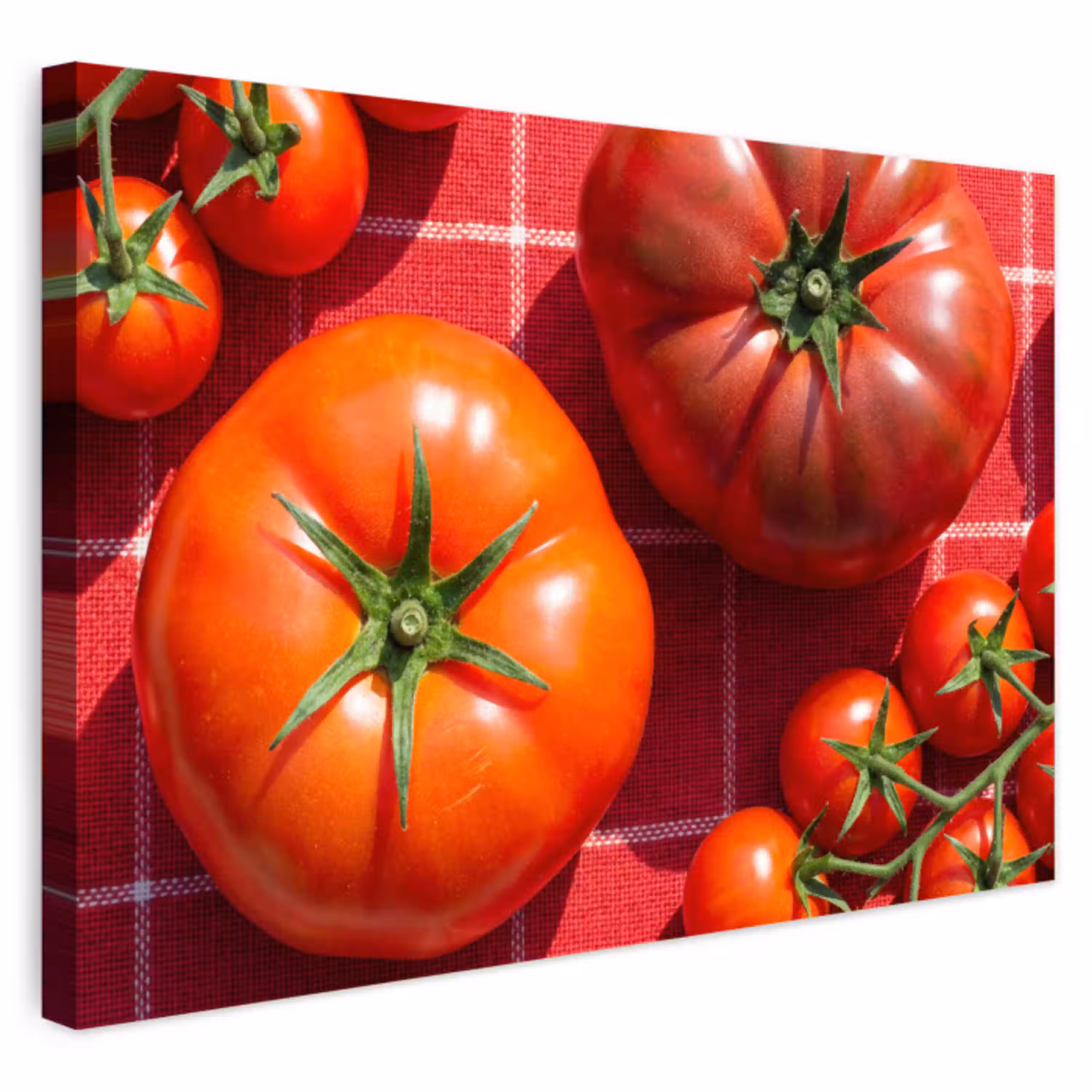 Tomaat - Rood - Eten Tuinposter op houten frame 2 cm dik klein -3d
