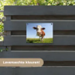 Koe in de Weide tuinposter los doek klein -sfeer3
