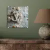 Anker - Hout - Schelpen - Zand plexiglas 5mm klein -sfeer3