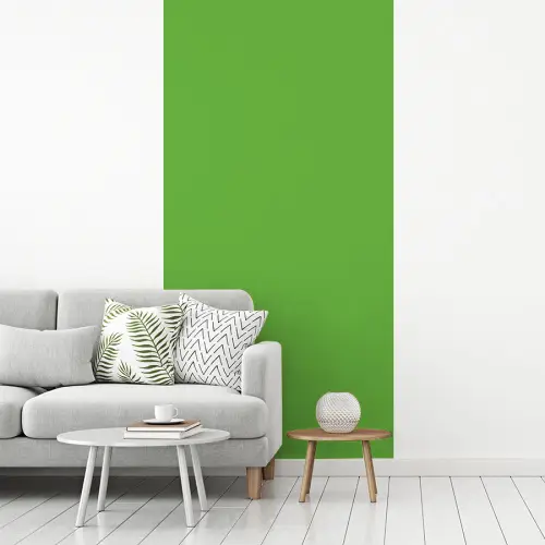 Groen - Kleuren - Natuur fotobehang vinyl groot 64 -woonkamer