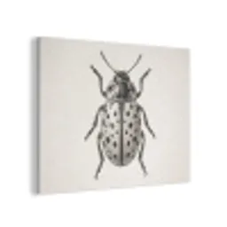 Kever - Insect - Vintage PET vilt klein -3d