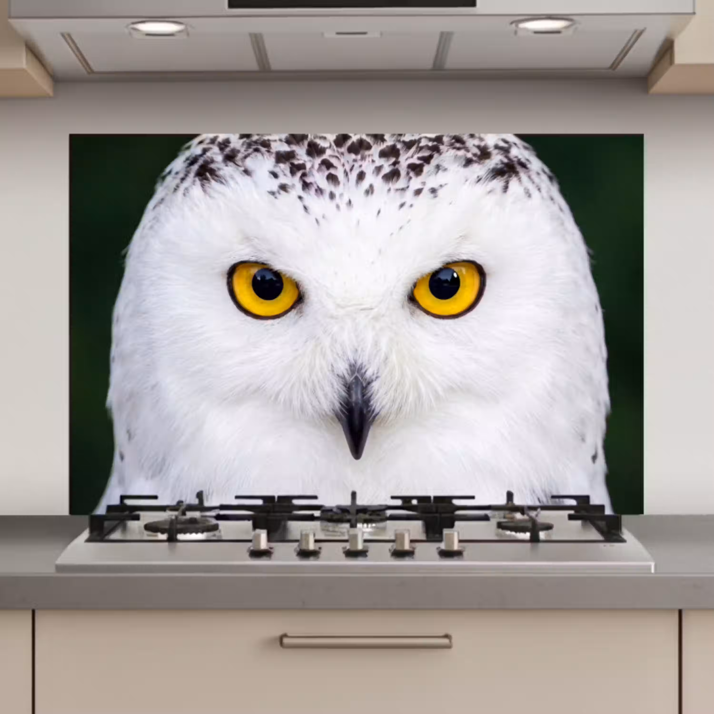 Sneeuwuil - Portret - Geel keuken achterwand spatscherm klein -3d_website