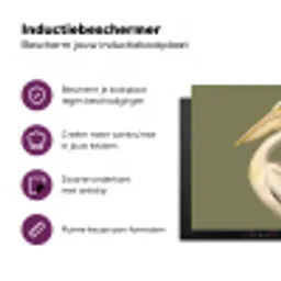 Pelikaan - Wit - Vogel - Klassiek - Natuur Inductie beschermer vinyl 3mm middel -zzzzzzz-cc-usp