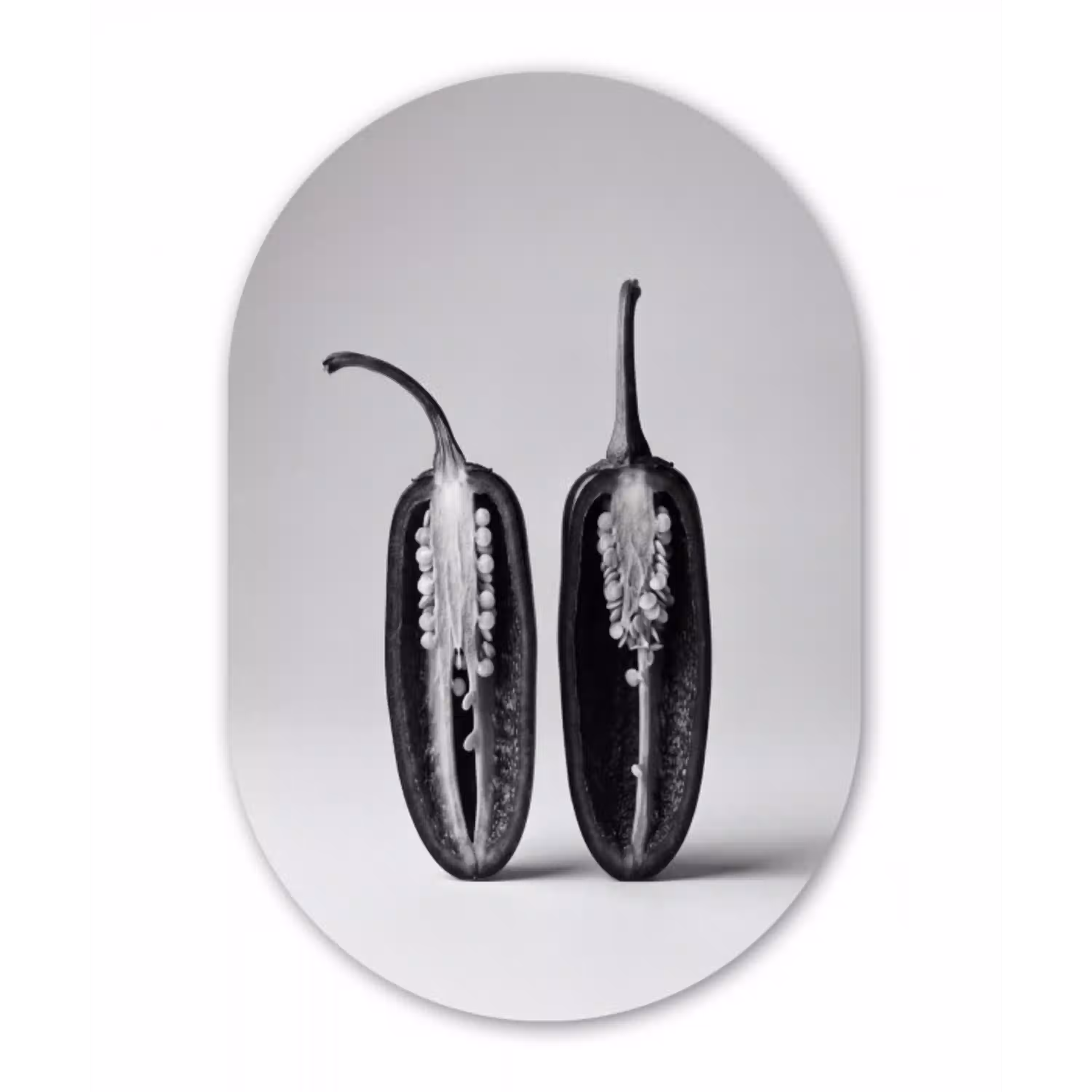 Pepers - Zwart - Wit - Zaadlijsten Wandcirkel Ovaal Aluminium middel -3d