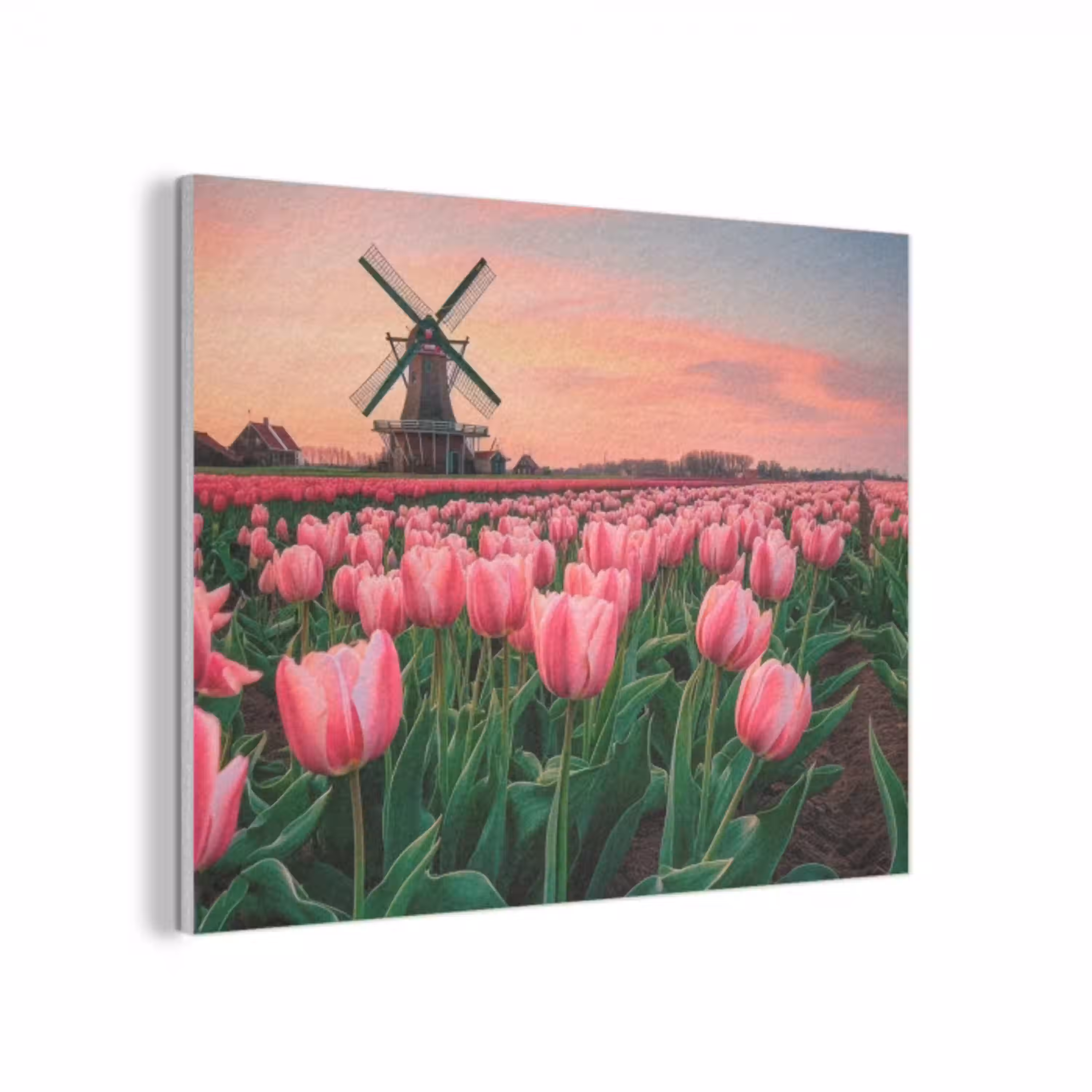 Tulpen - Molen - Nederland PET vilt klein -3d