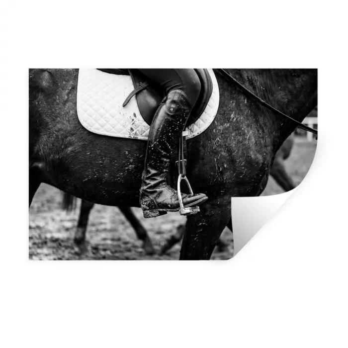 Paard - Sport - Zwart - Wit Muursticker klein -3d