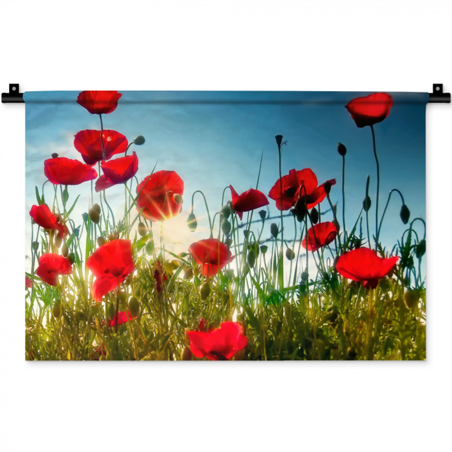 Klaprozen - Toscane - Zon - Rood - Blauw Wandkleed katoen klein -zz3d