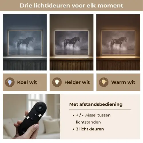 Paard - Magisch - Zwart Light Box met batterij (Wandlamp) middel -USP_lichtkleurNL