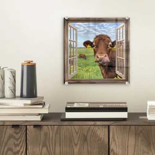 Doorkijk - Koe - Weiland - Landschap - Dieren plexiglas 5mm klein -sfeer1