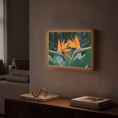 Paradijsvogel - Bloem - Exotisch Light Box met batterij (Wandlamp) middel -sfeer1