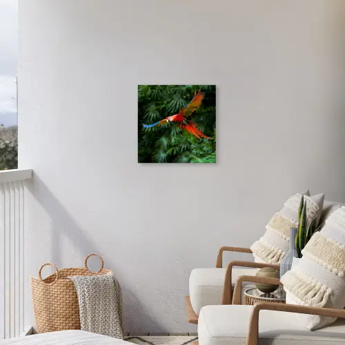 Kleurrijke papegaai is aan het vliegen Tuinposter op houten frame 2 cm dik klein -sfeer1