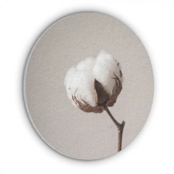 Katoenbol - Minimalistisch - Wit Akoestische PET Vilt - Rond klein -3d