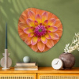 Dahlia - Bloem - Oranje Wandcirkel Organisch Aluminium middel -sfeer2