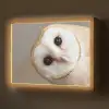 Uil - Bruin - Wit Light Box met batterij (Wandlamp) middel -z3d_website