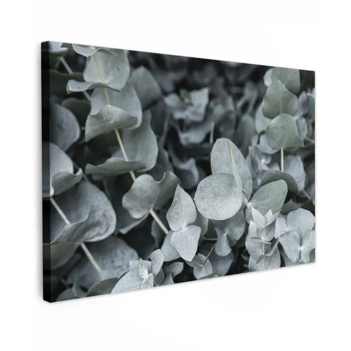 Natuur - Planten - Eucalyptus - Bladeren Tuinposter op houten frame 2 cm dik klein -3d