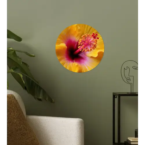 Geel - Hibiscus - Tropisch Wandcirkel behangsticker klein -sfeer2