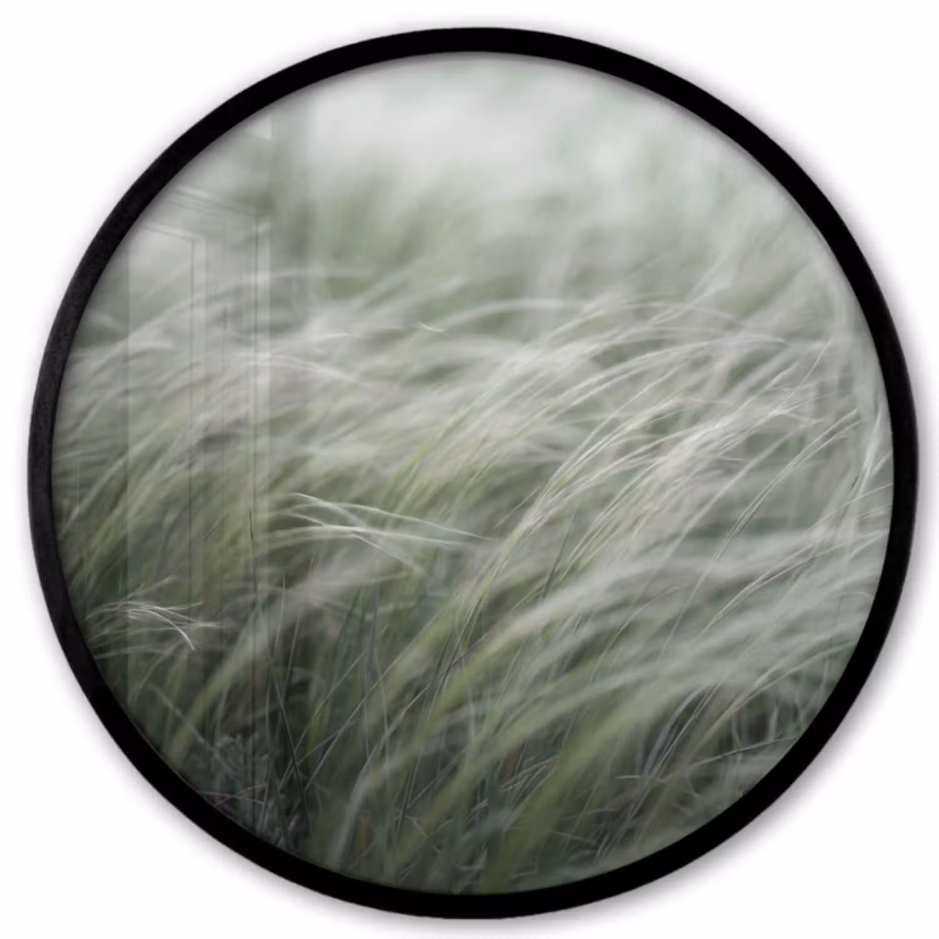Gras - Wazig - Natuur - Groen - Zacht Fotolijst rond zonder passe partout klein -3d