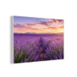 Lavendel - Veld - Natuur - Paars forex 5mm xxl -3d