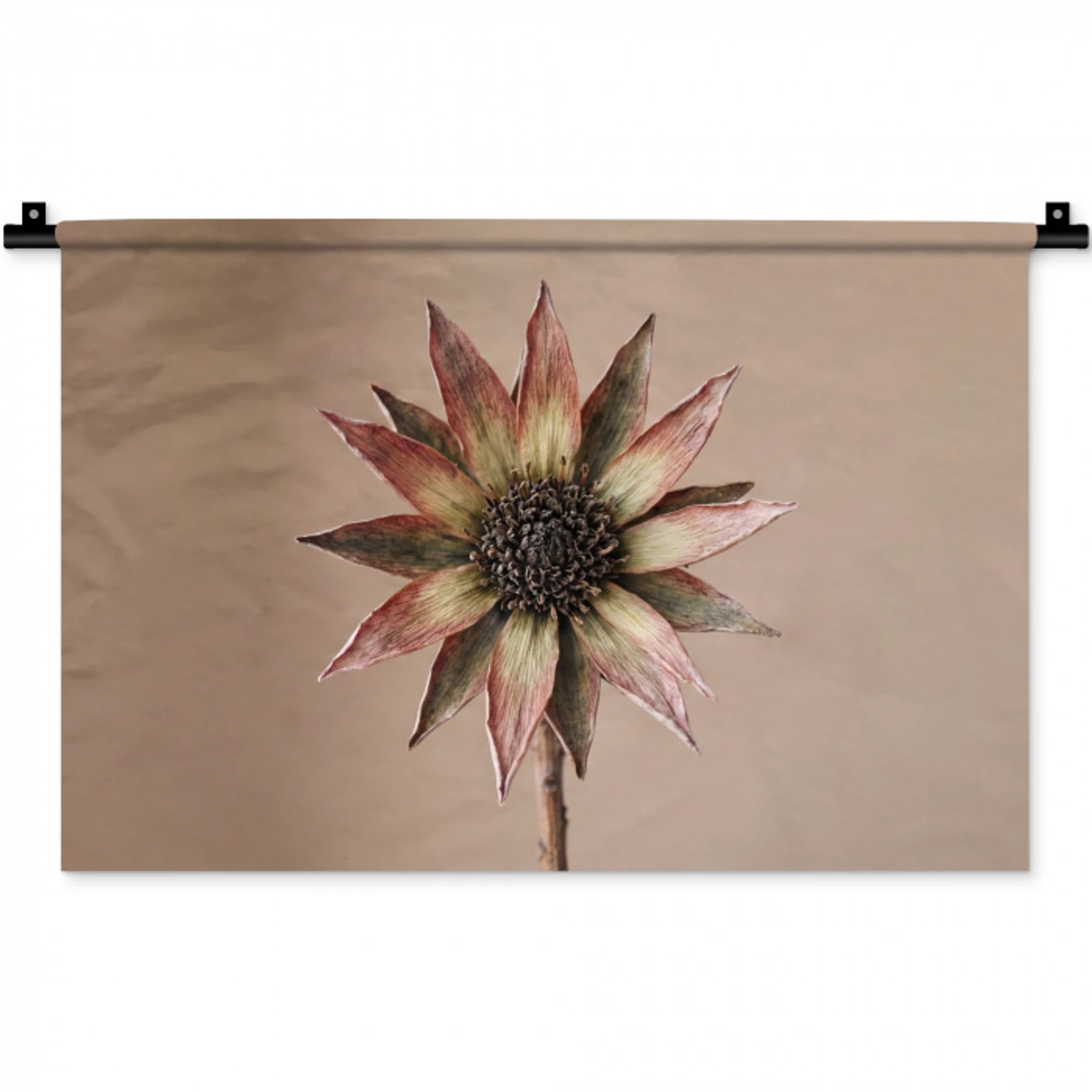 Droogbloem - Protea - Vintage - Beige - Rustiek Wandkleed katoen klein -zz3d