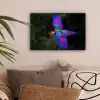 Felgekleurd - Papegaai - Bos - Vleugels canvas 2cm klein -sfeer1