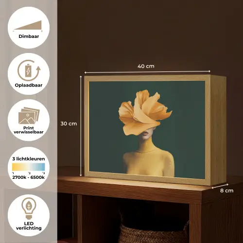 Vrouw - Hoed - Geel Light Box met batterij (Wandlamp) middel -USP_websiteoverzichtNL