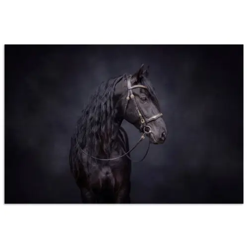 Portret - Paard - Donker poster papier klein -3d