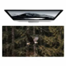 Zeearend - Vliegen - Bos - Natuur Muismat XXL klein -zzz3d