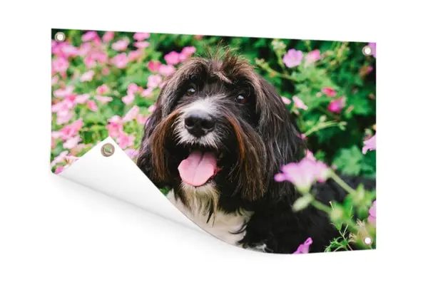 Tuinposter met ringen en hond