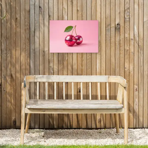 Disco - Kersen - Roze Tuinposter op houten frame 2 cm dik klein -sfeer4