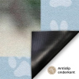 Pootjes - Achtergrond Deurmat klein -antislip_NL