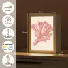 Koraal - Stipjes - Roze Light Box met kabel (Tafellamp) klein -USP_NL