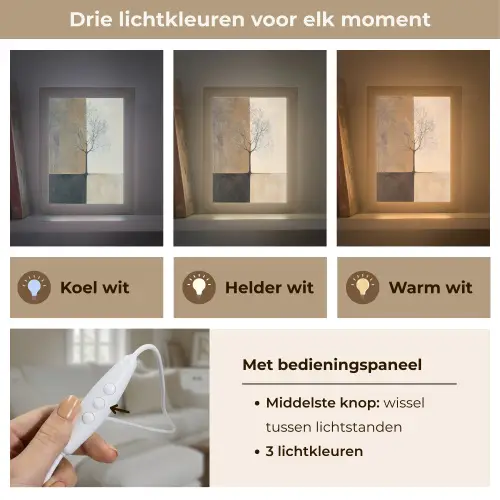 Boom - Vlakken - Takken - Kleurverloop Light Box met kabel (Tafellamp) klein -USP_lichtkleurNL
