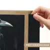 Raaf - Vogels - Zwart Light Box met batterij (Wandlamp) middel -USP_websiteprintNL