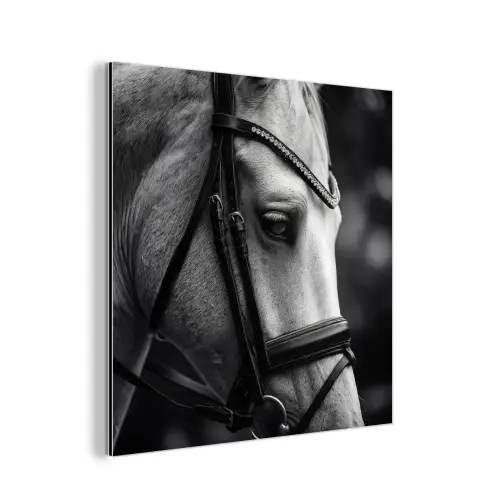 Paard - Schimmel - Portret aluminium wit klein -3d
