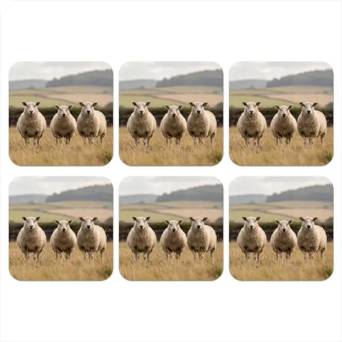 Schapen - Weidenlandschap - Heuvels onderzetter kurk middel -3d