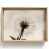 Paardenbloem - Minimalistisch - Wit Dienblad Rechthoek middel -z3d_shopping