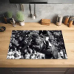 Springen - Paard - Zwart - Wit Inductie beschermer vinyl 3mm klein -sfeer5