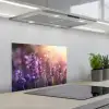 Lavendelbloemen - Paars - Zonlicht keuken achterwand spatscherm klein -3d_schuin