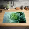 Blad - Plant - Groen - Textuur Inductie beschermer vinyl 3mm klein -sfeer5