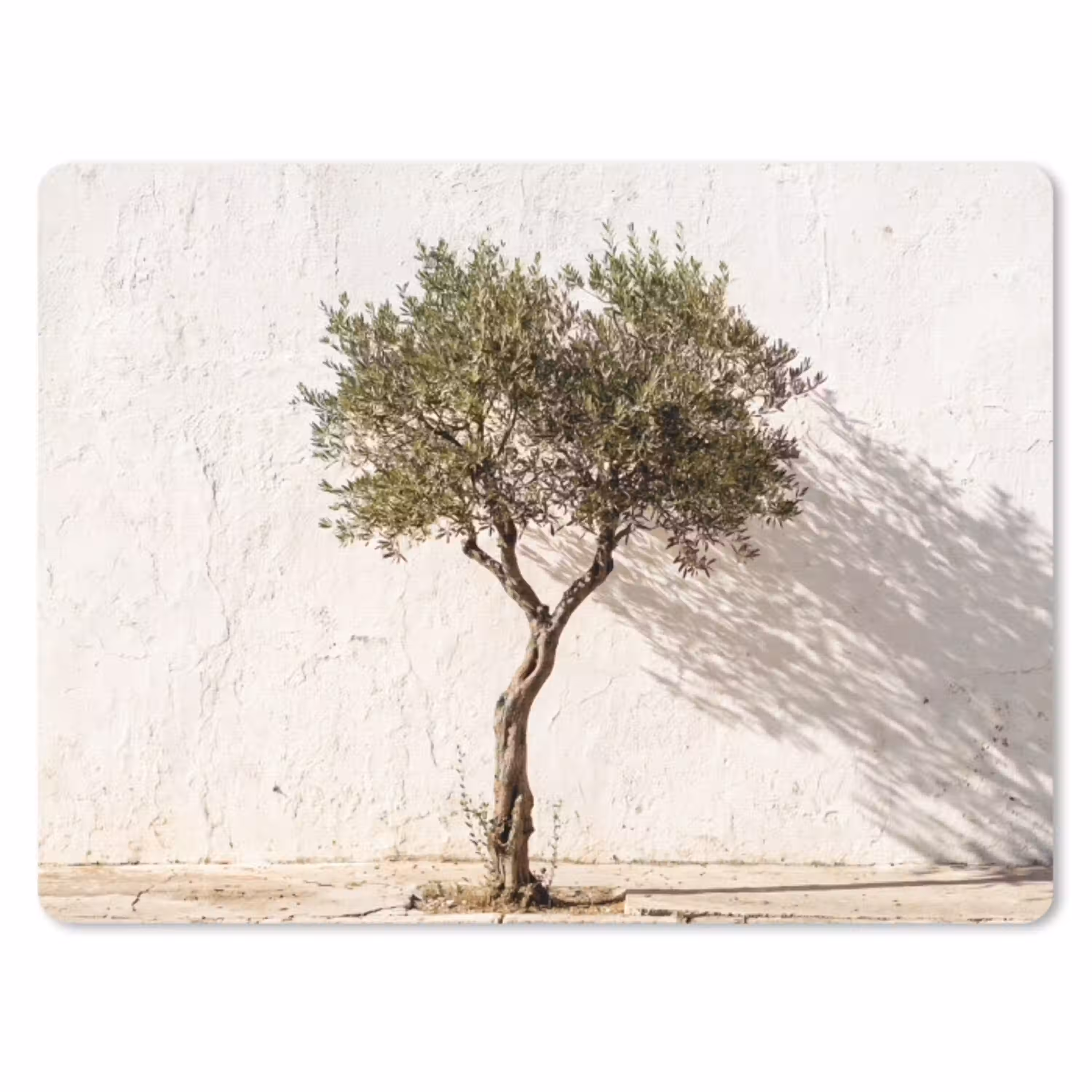 Olijfboom - muur - wit muismat rubber klein -3d