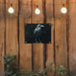 Raaf - Vogels - Zwart tuinposter los doek klein -sfeer1