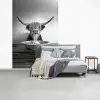 Schotse Hooglander - Spaghetti - Dieren - Zwart wit fotobehang vinyl groot -slaapkamer